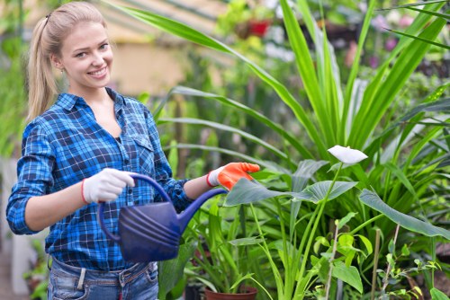 Final inspection of a landscaped garden