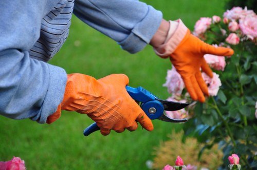 Team pruning communal courtyard in Finsbury Park area