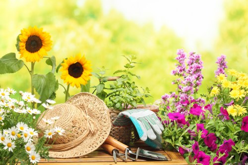 An outdoor garden scene featuring a variety of flowering plants and gardening tools. In the foreground, there are tall sunflowers with bright yellow petals and dark centers, alongside a patch of white daisy-like flowers. To the right, vibrant pink and purple flowering plants add colour to the garden bed. Resting on a wooden surface are gardening accessories including a straw sun hat, a pair of gardening gloves, pruning shears, and a small watering can, indicating an active gardening space. The background reveals a lush, green blurred garden environment, suggesting a well-maintained outdoor area typical of residential gardens in Finsbury Park or nearby areas. The lighting appears natural, with a soft, warm sunlight illuminating the scene, enhancing the natural tones of the plants and garden tools. This setup highlights a typical garden used for outdoor maintenance and gardening activities, suitable for a professional gardening service like Garden Maintenance Finsbury Park, providing a close-up view of diverse flora and garden care essentials in a pleasant, sunny setting.
