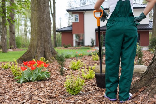 Person using a screen reader on garden maintenance content