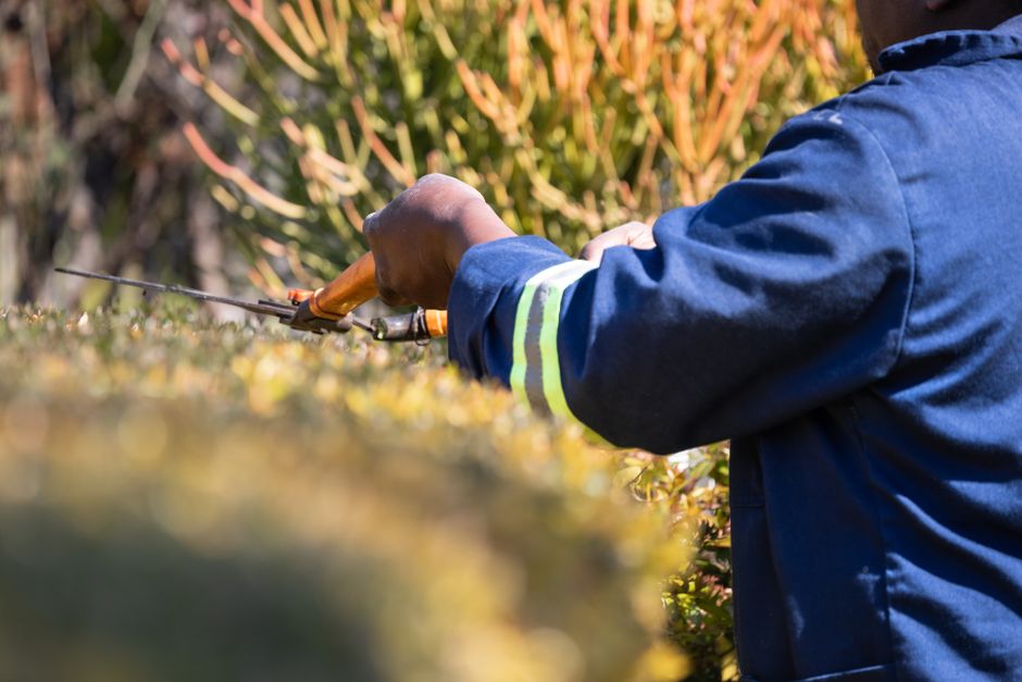 Close-up image of a gardener wearing a blue jacket with reflective yellow stripes, carefully trimming a hedge with shears. The gardener's hands are gripping the orange-handled shears, which are active